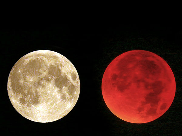  நவம்பர் 14 :