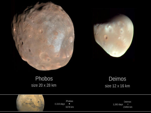 இரண்டு நிலாக்கள் :