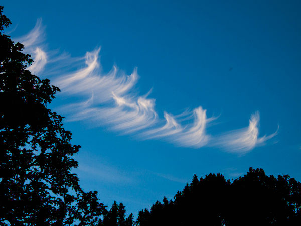 புகை அடுக்கு :