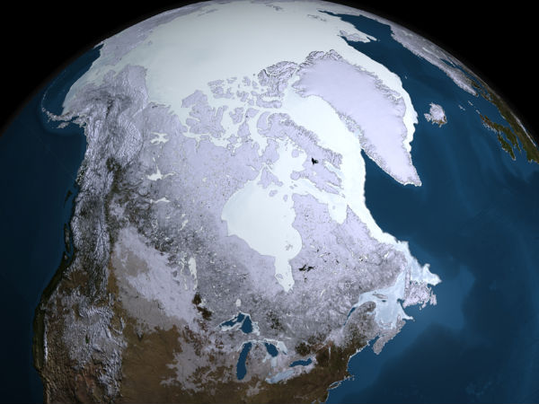 தலைமை பொறுப்பு :