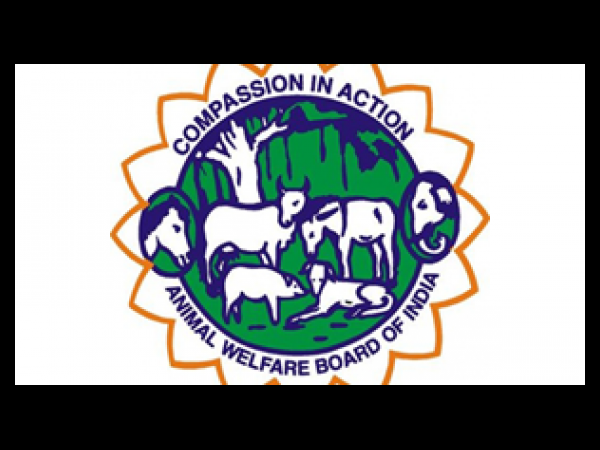 விலங்குகளின் மீது அன்பு :