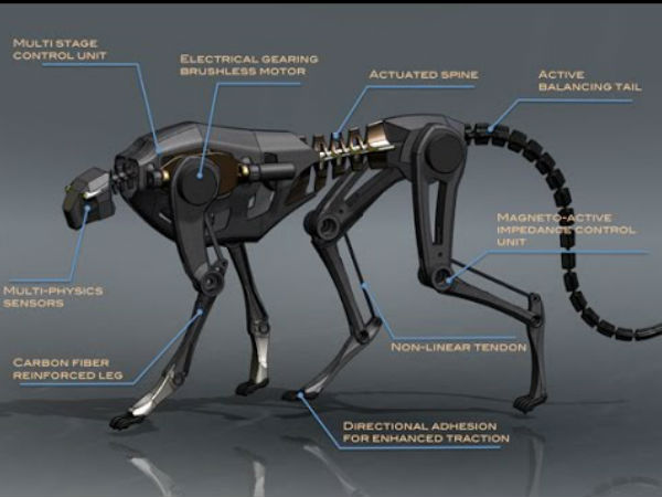 அறிவார்ந்த இனங்கள் :