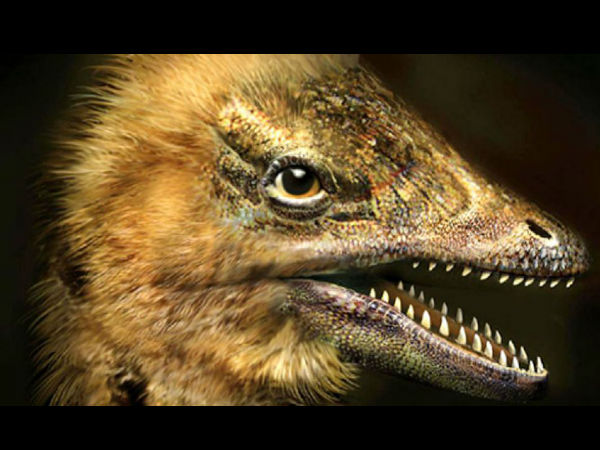 டைனோசர் அலகு :