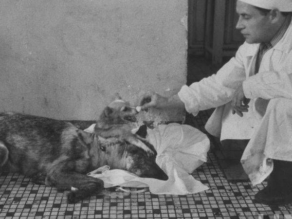 07. சோவியத் விஞ்ஞானி :