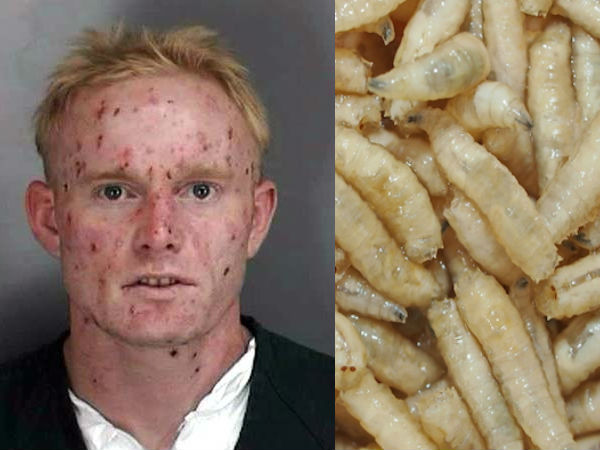 விக்கீப்பீடியா :