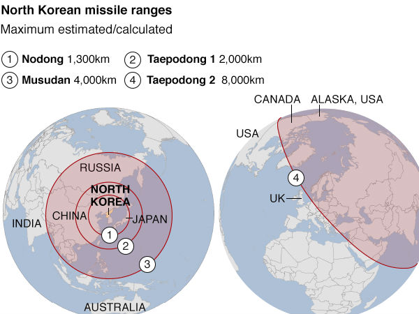 விளக்கப்படம் :