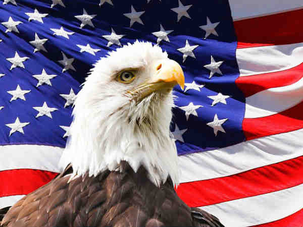 சரியான தேர்வு