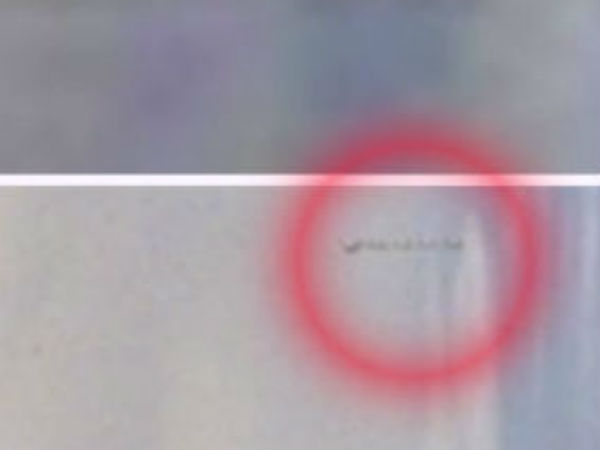 சில்வர் புள்ளி