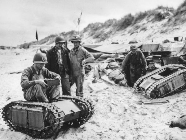 பீட்டல் டேங்ஸ் :