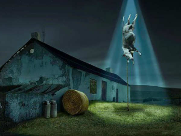 கொலராடோ