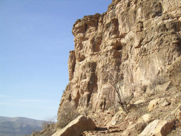 லிட்டில் சேப்