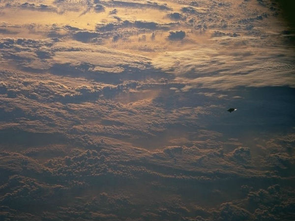 தற்செயல் :