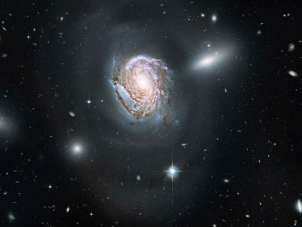 பரிமாணம்