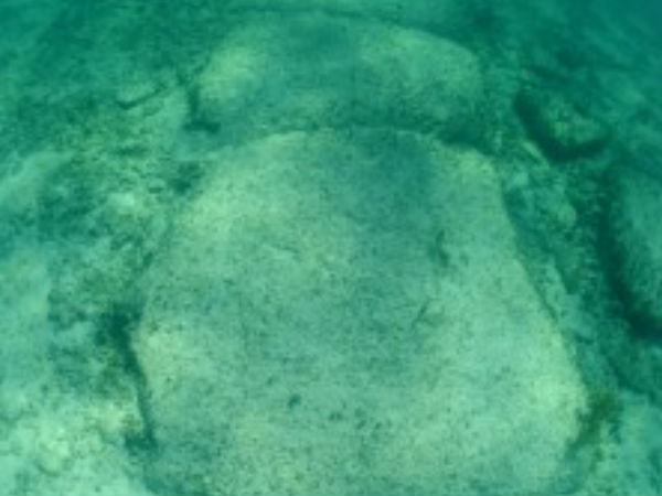 ஓபார்ட் #01 :