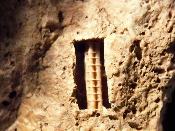 பொருத்தமற்ற வரலாறு :