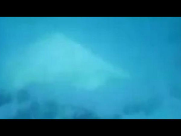 அமெரிக்க கடல் ஆய்வாளர்கள் :