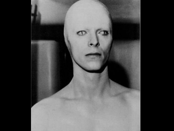 கலப்பினம்