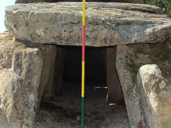 அமைப்பு