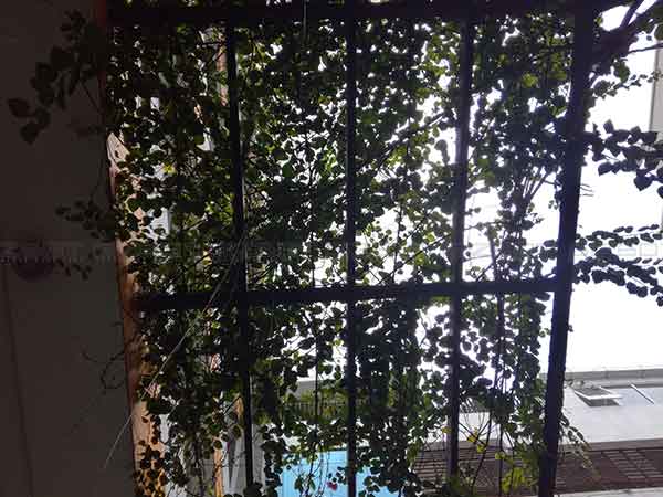 வெளிச்சம்