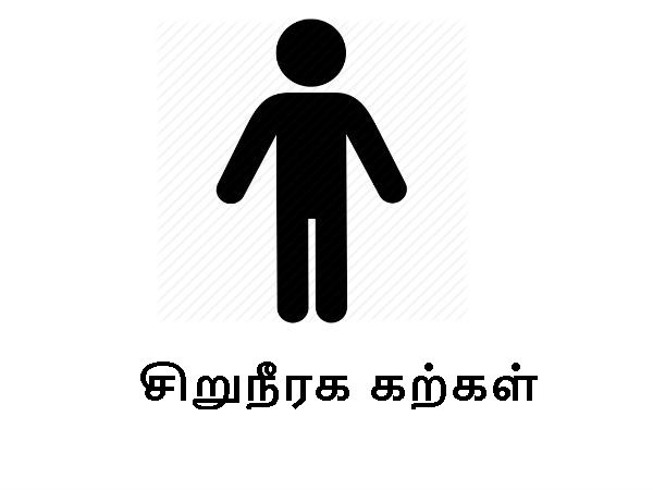 பூமியில் கவனிக்கப்பட்ட பாதிப்பு :