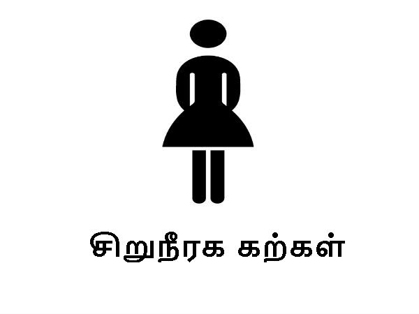 பூமியில் கவனிக்கப்பட்ட பாதிப்பு :