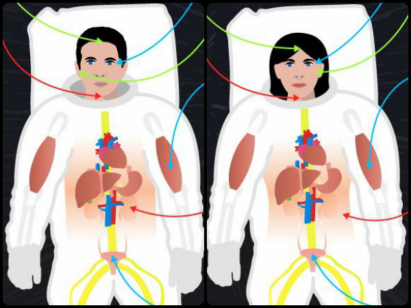 மூன்று வகை :