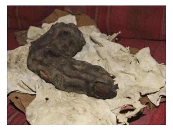 38 சென்டி மீட்டர் விரல் :