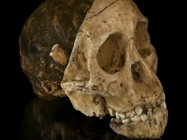 பொருந்தவில்லை :