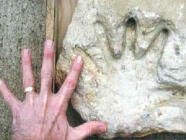 வெளிப்படை :