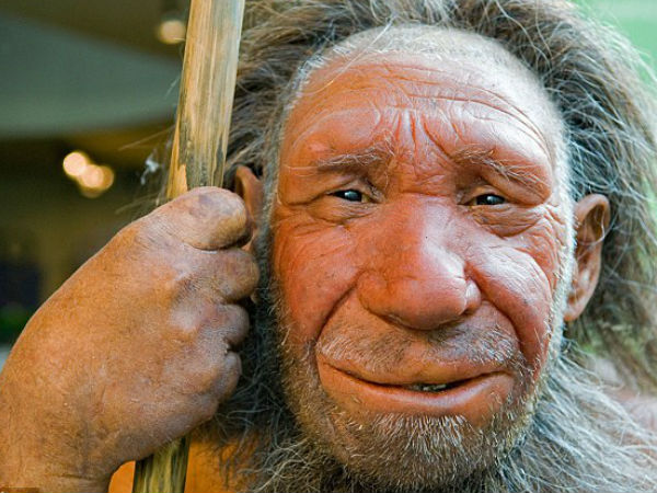 மரபணுக்கள் :