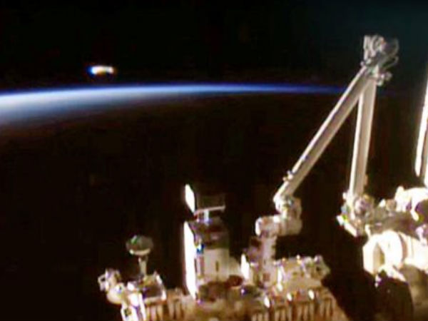 குதிரை குளம்பு :