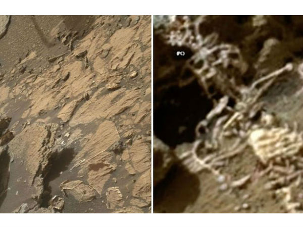 பாராநார்மல் க்ரூசிபில் :