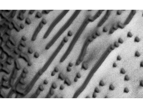 குறியீடு :