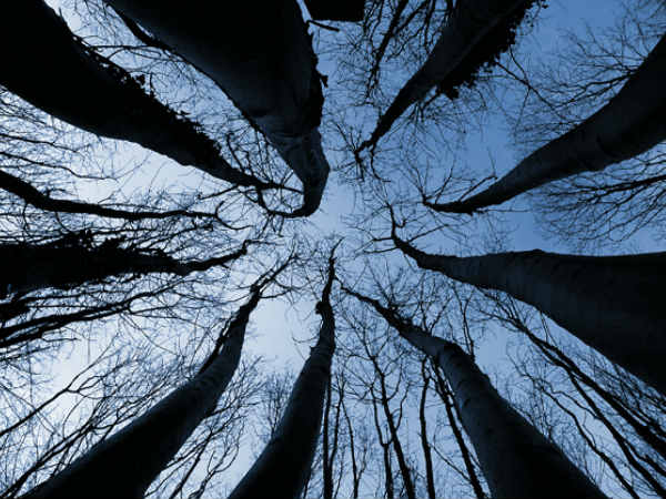 கற்றல் மற்றும் முயற்சி :