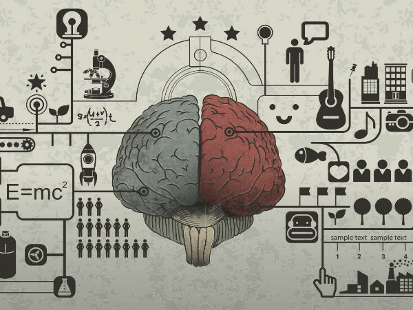 அனுபவம் :