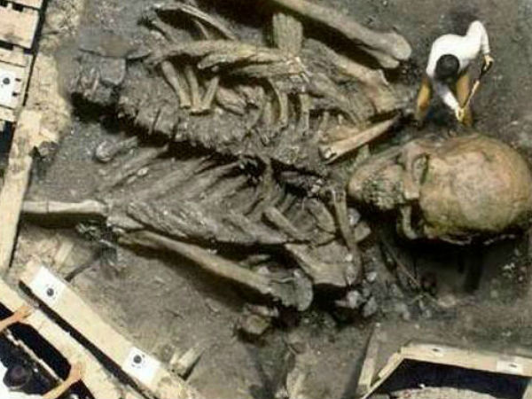 இராட்சத எலும்புக்கூடுகள் (Giant Skeletons)