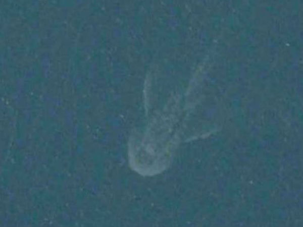 லோச் நெஸ் மான்ஸ்டர் (Loch Ness Monster)