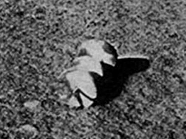 குற்றச்சாட்டு