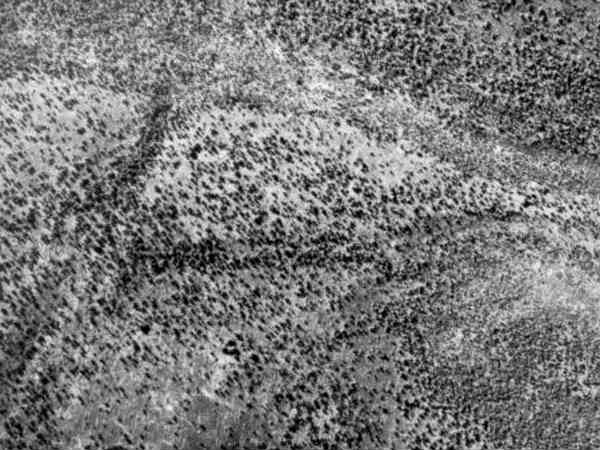 பறக்கும் தட்டு :