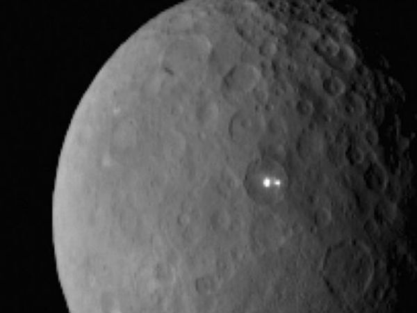 வினோதமான கலவை :