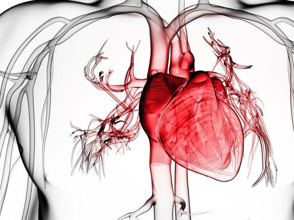 நாளம் சார்ந்த பாதிப்பு :