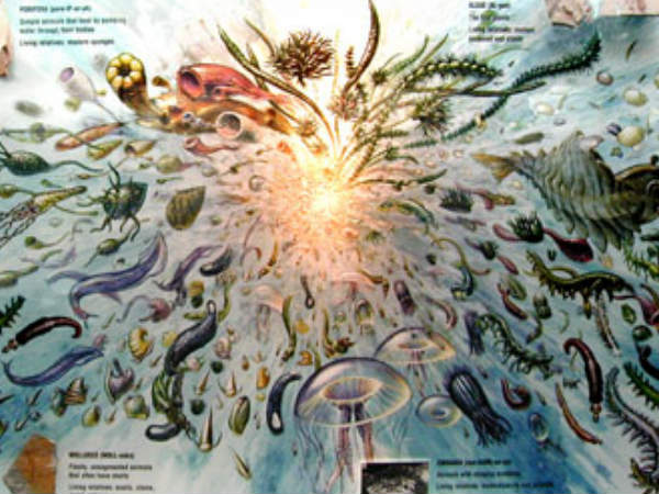 பரவல் விளைவு :