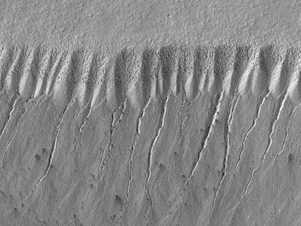 ஆர்எஸ்எல் :