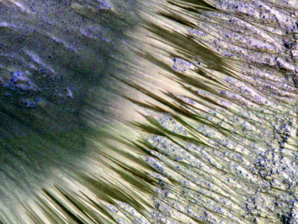 நிச்சயமான காரணம் :