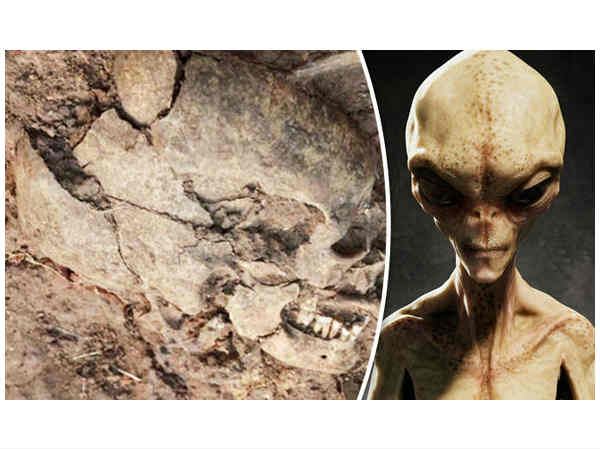 கோட்பாடு