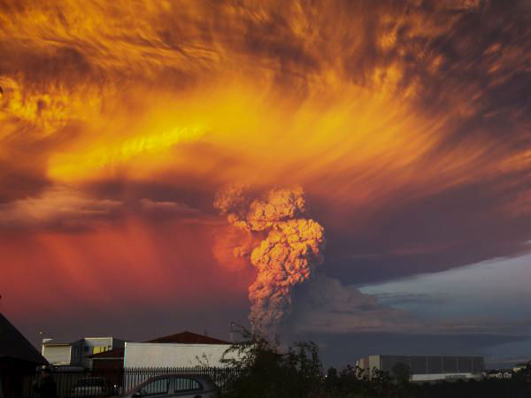 மெக்சிகன் பத்திரிகையாளர் :