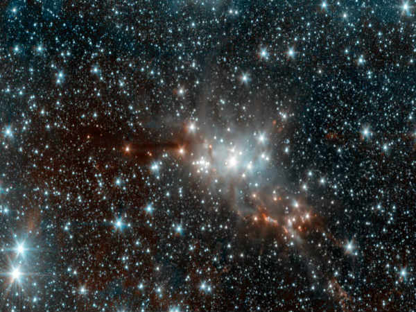 அடையாளம் :