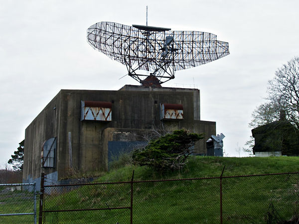 6 வாரங்கள் :