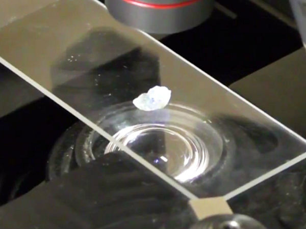 அறிகுறிகள் :