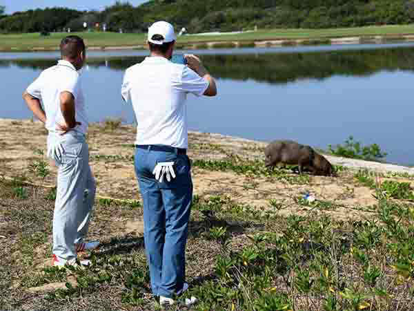 புகைப்படம் : ராஸ் கின்யர்ட் (Ross Kinnaird/Getty)